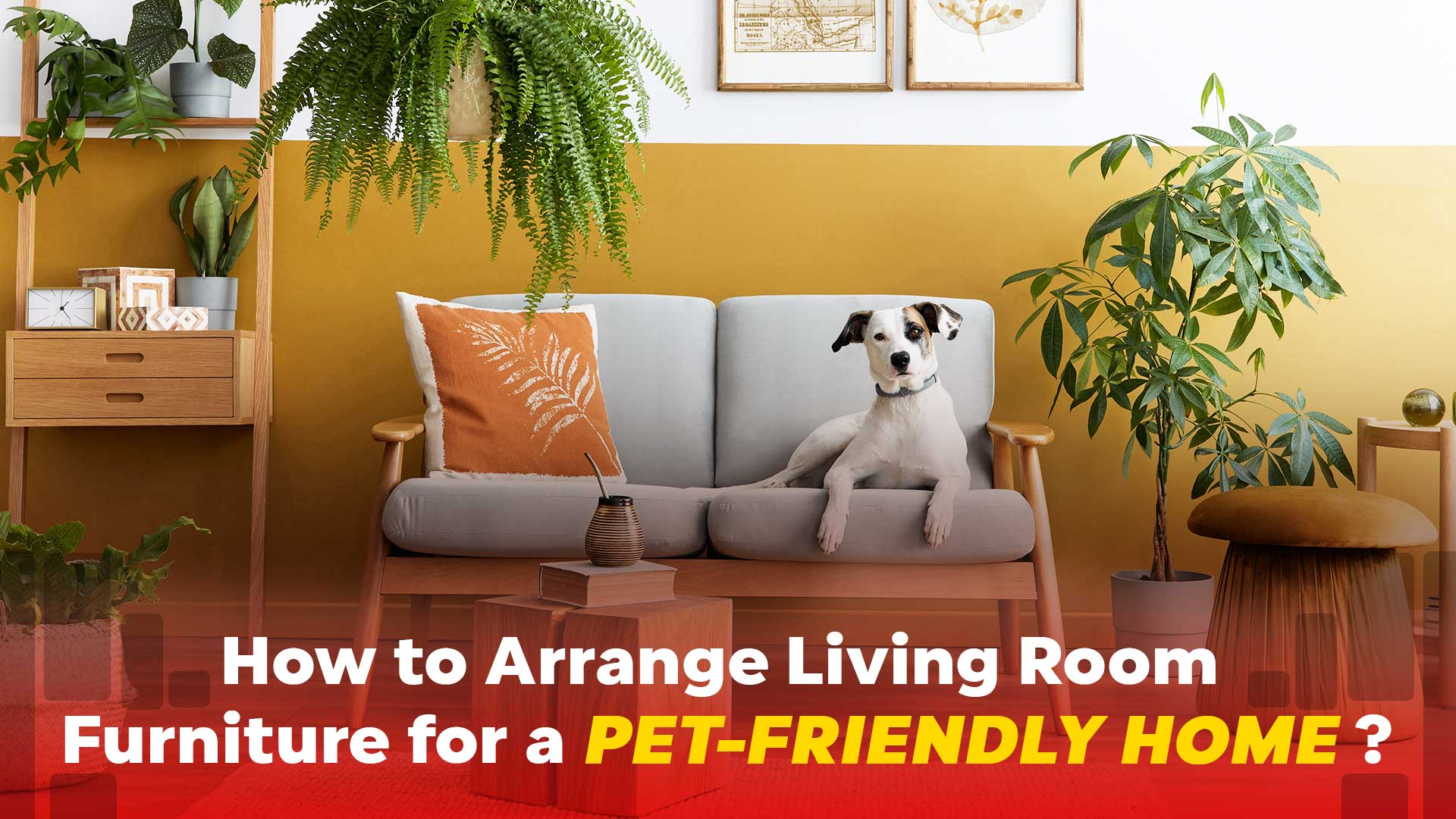 How to Arrange Living Room Furniture for a Pet-Friendly Home?